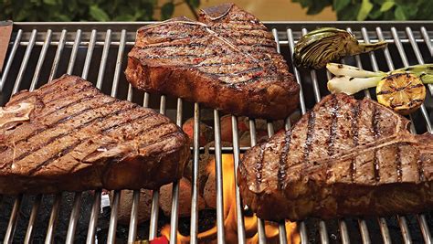 Upgrade Your Grilling Game: Replace the Flavor Grid in Your Fire Magic Grill